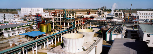 強強聯(lián)合節(jié)能之作：荏原機組服務于新疆天業(yè)聚氯乙烯項目
